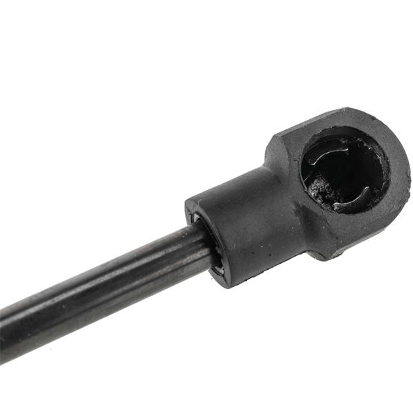 2 Glass Lift Supports Struts Shock -4078-7