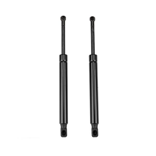 2 Glass Lift Supports Struts Shock -6430-2