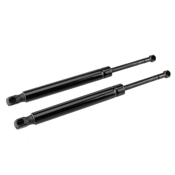2 Glass Lift Supports Struts Shock -6430-4