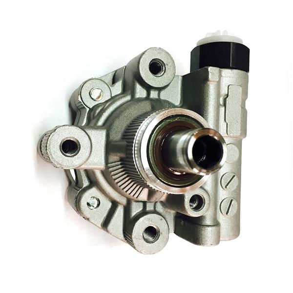转向助力泵 For DODGE CHRYSLER 3.3L 3.8L-1
