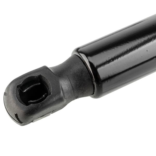 2 Glass Lift Supports Struts Shock -6430-7