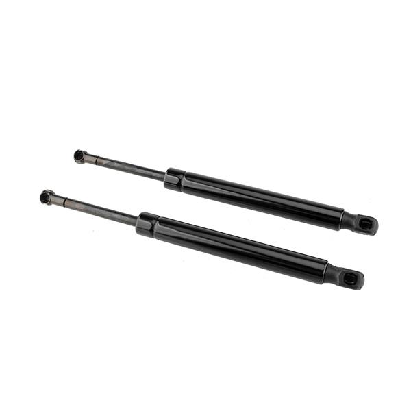 2 Glass Lift Supports Struts Shock -6430-5
