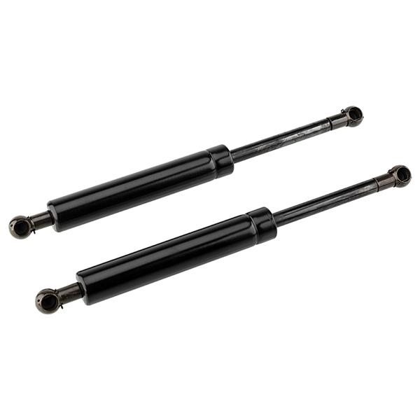 2 Glass Lift Supports Struts Shock -PM1028-6