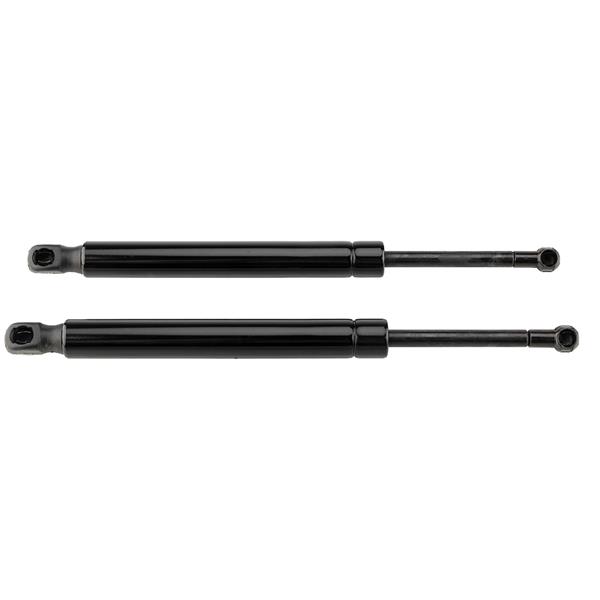 2 Glass Lift Supports Struts Shock -6430-6