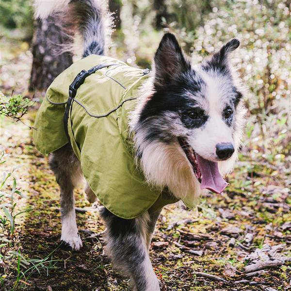 春季宠物户外雨披，中大型犬宠物雨衣轻薄透气款雨衣-抹茶绿-L码-2