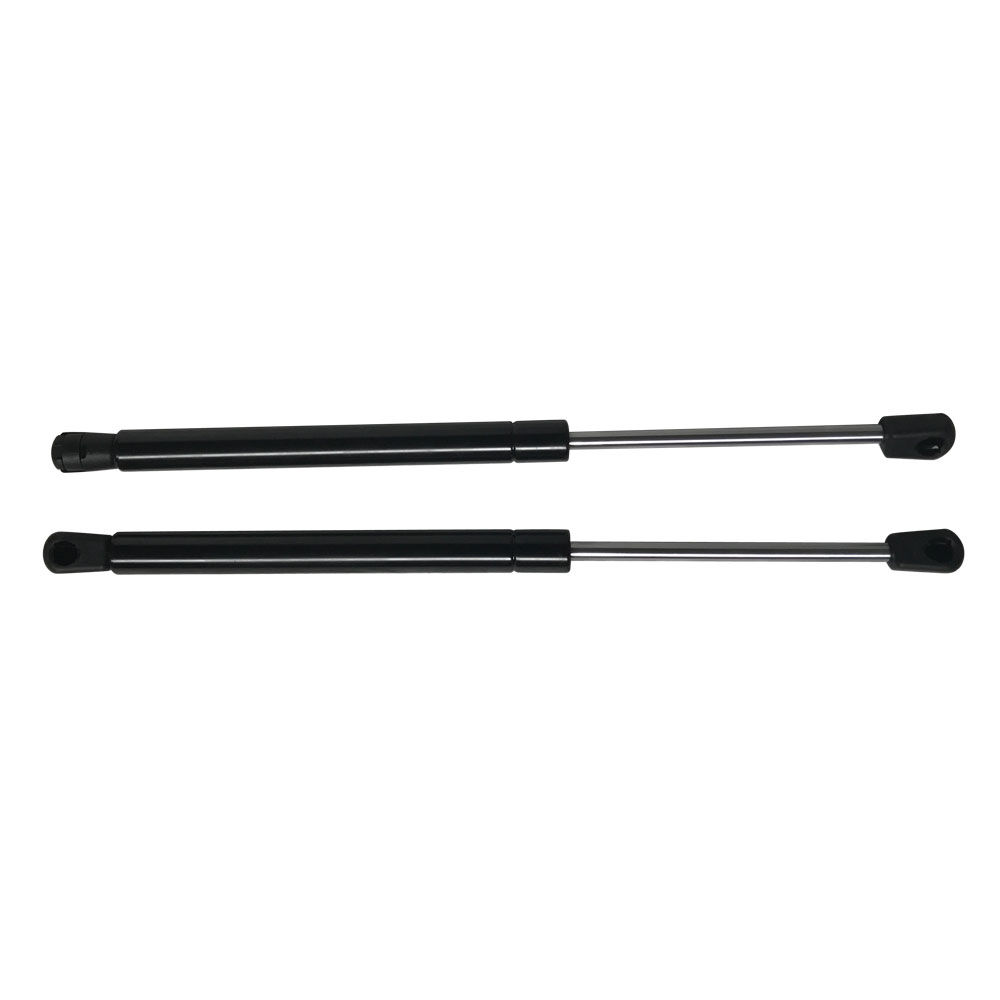 2pcs Rear Lift Supports for 2005-2008 Chrysler 300