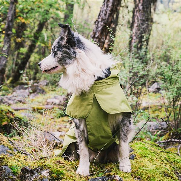 春季宠物户外雨披，中大型犬宠物雨衣轻薄透气款雨衣-抹茶绿-M码-2