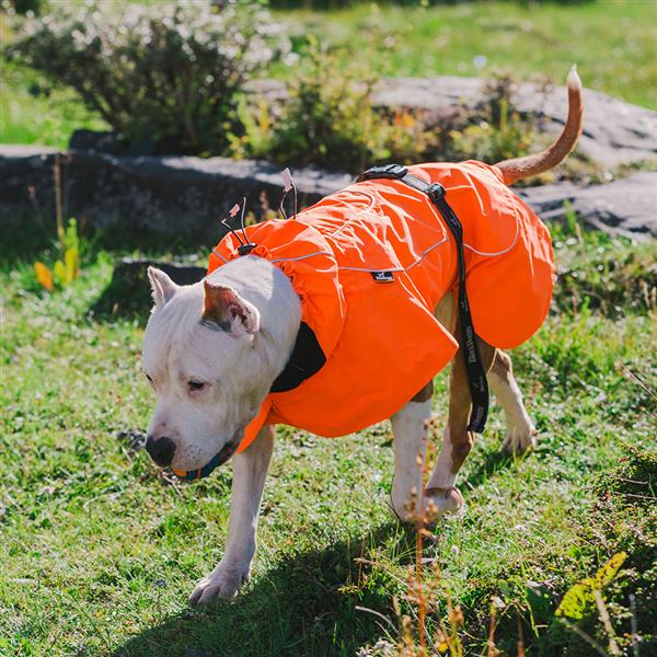 春季宠物户外雨披，中大型犬宠物雨衣轻薄透气款雨衣-荧光橘-M码-1