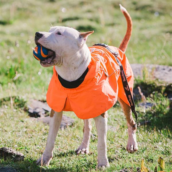 春季宠物户外雨披，中大型犬宠物雨衣轻薄透气款雨衣-荧光橘-XL码-3