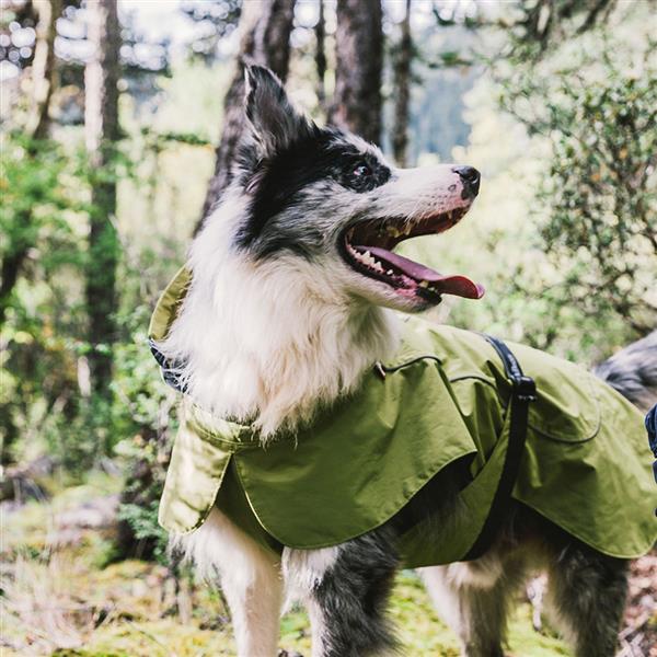 春季宠物户外雨披，中大型犬宠物雨衣轻薄透气款雨衣-抹茶绿-M码-1