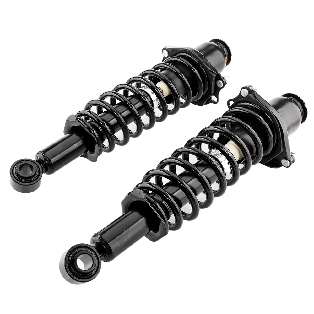 2 Rear Complete Struts Shocks & Coil Springs w/ Mounts for 03-08 Toyota Matrix