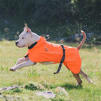 春季宠物户外雨披，中大型犬宠物雨衣轻薄透气款雨衣-荧光橘-XL码