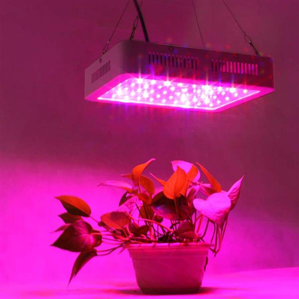 60*10W 600W双芯片 LED植物生长灯 全光谱植物补光灯380-730NM-9