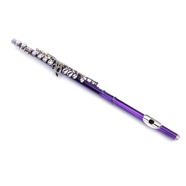 紫色16孔C调闭孔白铜长笛+通条棒+清洁布+润滑剂+螺丝刀-16