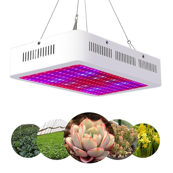 双芯片2000W LED植物生长灯 全光谱植物补光灯-10