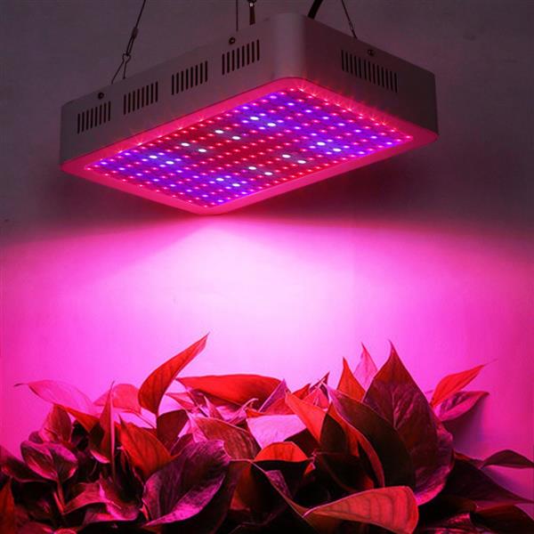 双芯片2000W LED植物生长灯 全光谱植物补光灯-13