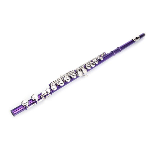 紫色16孔C调闭孔白铜长笛+通条棒+清洁布+润滑剂+螺丝刀-13