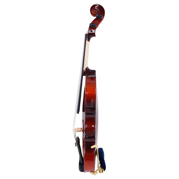 【AM不售卖】GV100 1/8 实木 自然色 小提琴-4