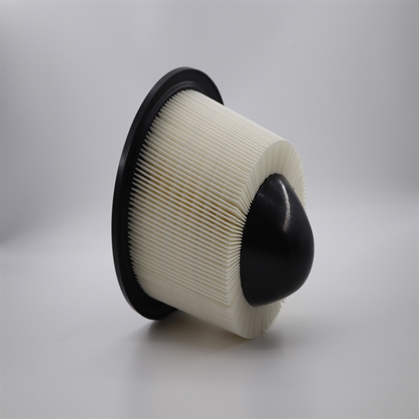 空滤FOR 97-10 Ford Truck F150 1/2 Ton - Pickup Air filter /OEM# F50Z-9601-BA-8