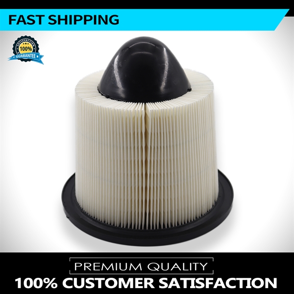 空滤FOR 97-10 Ford Truck F150 1/2 Ton - Pickup Air filter /OEM# F50Z-9601-BA-1
