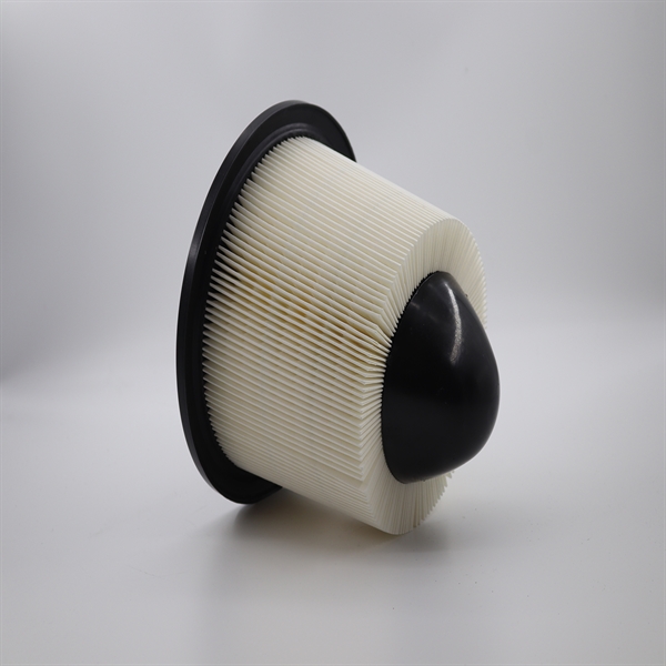 空滤FOR 97-10 Ford Truck F150 1/2 Ton - Pickup Air filter /OEM# F50Z-9601-BA-10