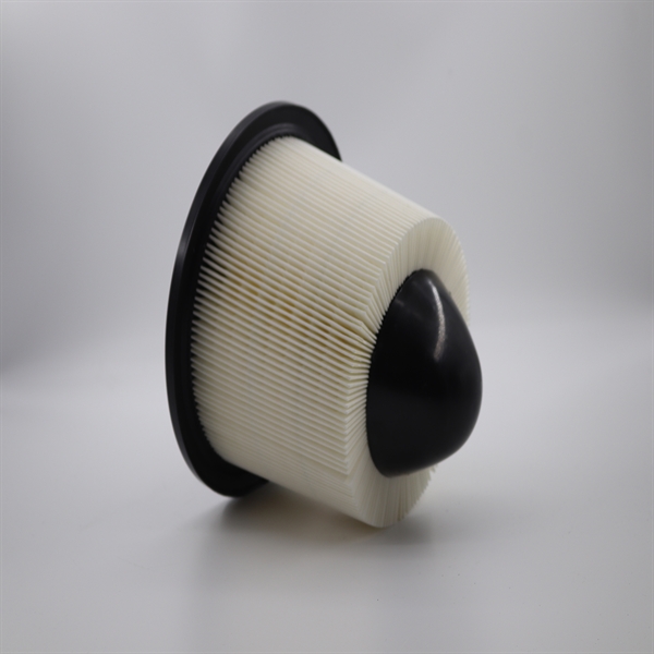 空滤FOR 97-10 Ford Truck F150 1/2 Ton - Pickup Air filter /OEM# F50Z-9601-BA-9