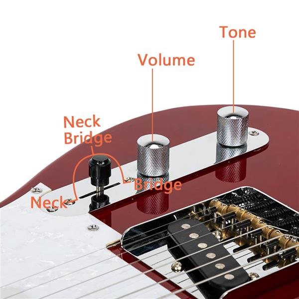 【AM不售卖】GTL 半空心双-单拾音器 玫瑰木指板 透明酒红-白护板 S101 TL电吉他-22