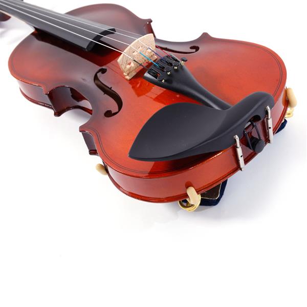 【AM不售卖】GV100 1/4 实木 自然色 小提琴-9