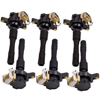 点火线圈模块和配件6 piece Ignition Coilpacks for BMW 323i 2.5L L6 1748017