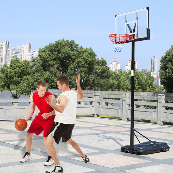 PC透明板 篮框可调节245-305cm 篮球架 成人款 最大适用7#球 N002 LX-B076-25