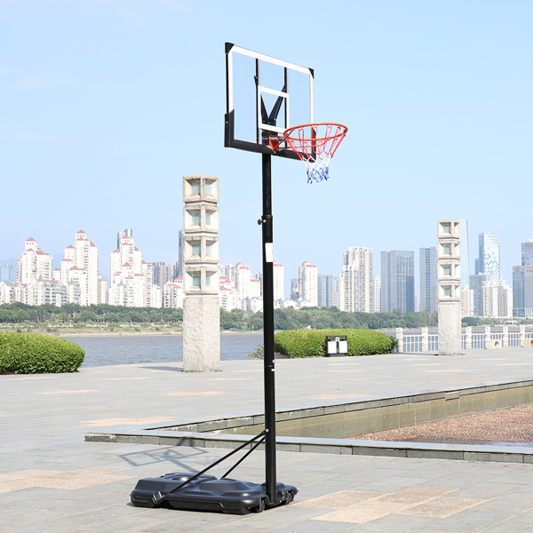 PC透明板 篮框可调节245-305cm 篮球架 成人款 最大适用7#球 N002 LX-B076-16