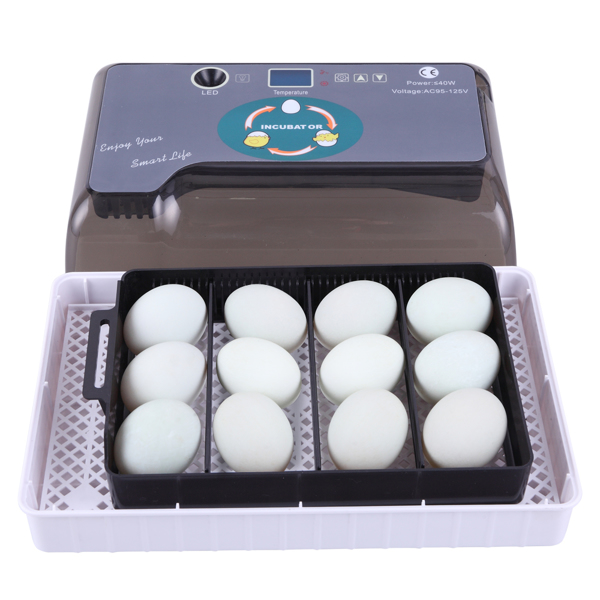 美规 孵化器 110V 40W 单电源全自动带照蛋器注水器 ABS 灰色 一次性孵化12枚-28