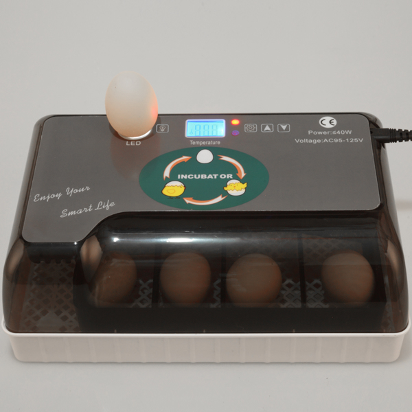 美规 孵化器 110V 40W 单电源全自动带照蛋器注水器 ABS 灰色 一次性孵化12枚-44