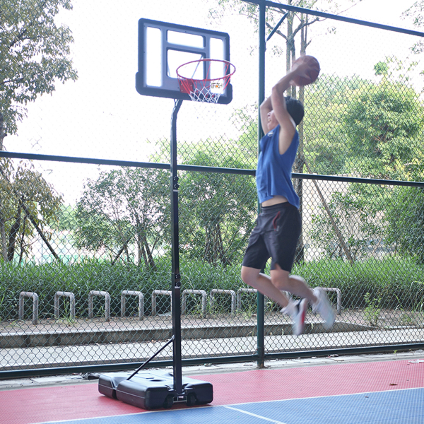PVC透明板 210-260cm 篮球架 青少年 最大适用7#球 篮框可调节 S103 LX-B07S GER-8