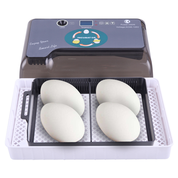 美规 孵化器 110V 40W 单电源全自动带照蛋器注水器 ABS 灰色 一次性孵化12枚-29