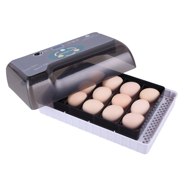 美规 孵化器 110V 40W 单电源全自动带照蛋器注水器 ABS 灰色 一次性孵化12枚-13