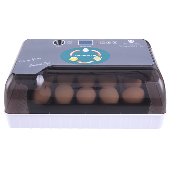 美规 孵化器 110V 40W 单电源全自动带照蛋器注水器 ABS 灰色 一次性孵化12枚-35