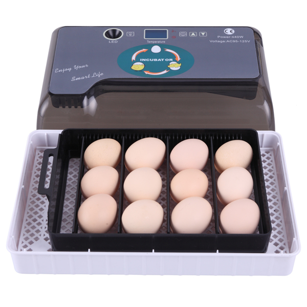 美规 孵化器 110V 40W 单电源全自动带照蛋器注水器 ABS 灰色 一次性孵化12枚-17