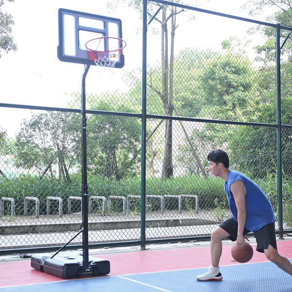 PVC透明板 210-260cm 篮球架 青少年 最大适用7#球 篮框可调节 S103 LX-B07S GER-18