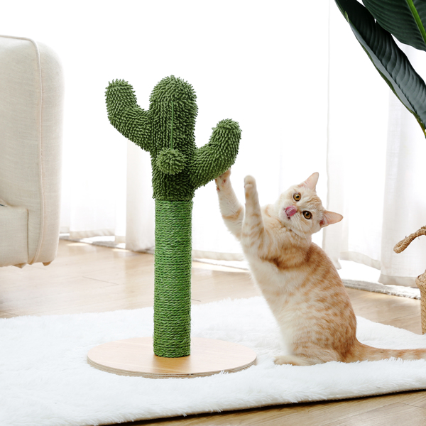 绿色仙人掌猫抓柱子带有1个猫抓柱，1个吊球，猫互动玩具适合中小型猫-1