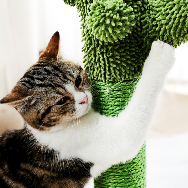 绿色仙人掌猫抓柱子带有1个猫抓柱，1个吊球，猫互动玩具适合中小型猫-7