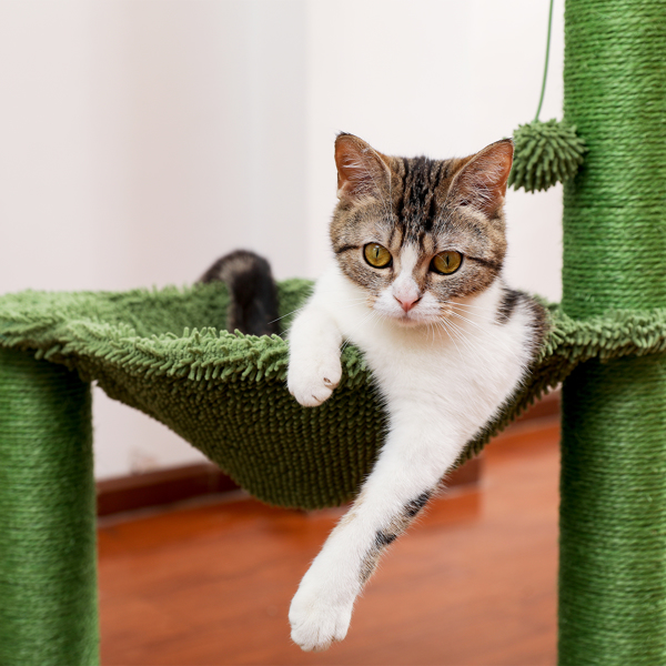 绿色仙人掌猫台带有猫抓柱，吊床和吊球，猫互动玩具适合中大型猫（周末无法发货，请谨慎下单）-7