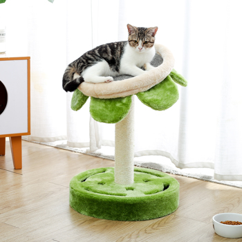 绿色向日葵猫台带有躺窝，剑麻猫抓柱，底部有猫玩具，可以休息和抓挠，适合各类猫使用