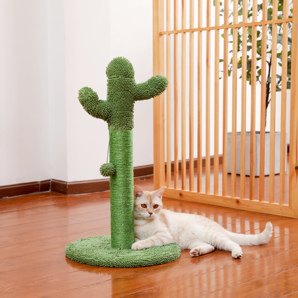 绿色仙人掌猫抓柱带有猫互动玩具毛绒吊球，适合小型猫玩耍锻炼-2