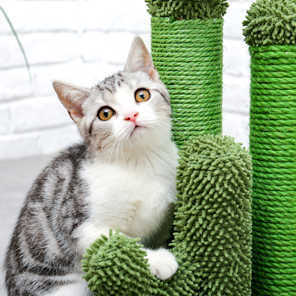绿色仙人掌猫抓柱子带有3个猫抓柱，1个吊球，猫互动玩具适合小型猫-10