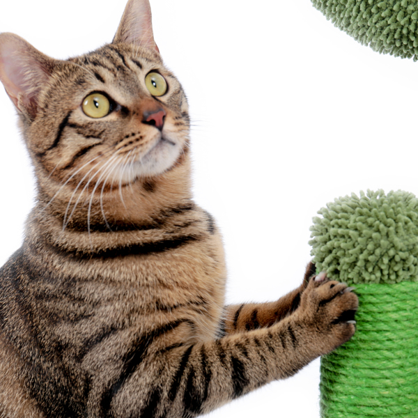 绿色仙人掌猫抓柱子大号带有3个猫抓柱，1个吊球，猫互动玩具适合中大型猫-10