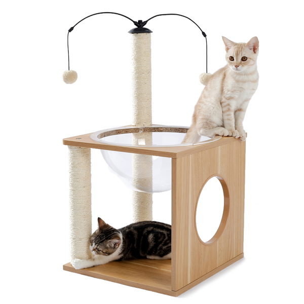 米色猫台带有透明躺窝，剑麻猫抓柱，和毛绒吊球，适合中小型猫娱乐，休息-9
