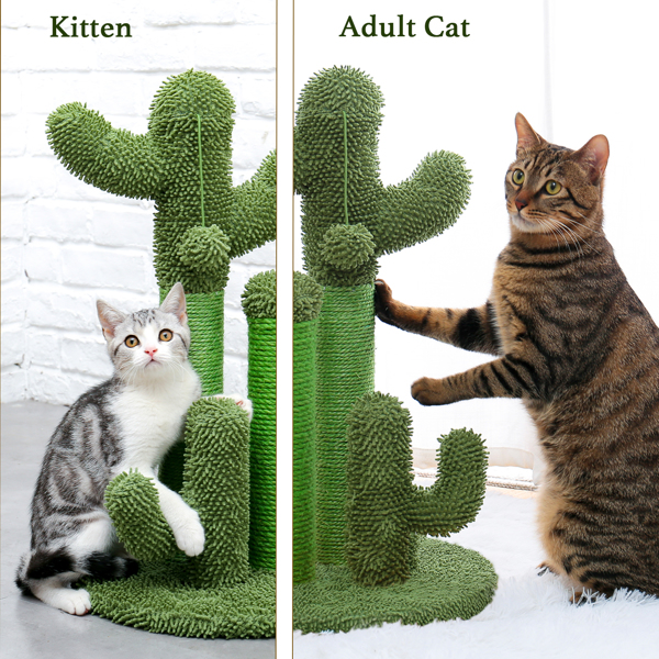 绿色仙人掌猫抓柱子带有3个猫抓柱，1个吊球，猫互动玩具适合小型猫-6