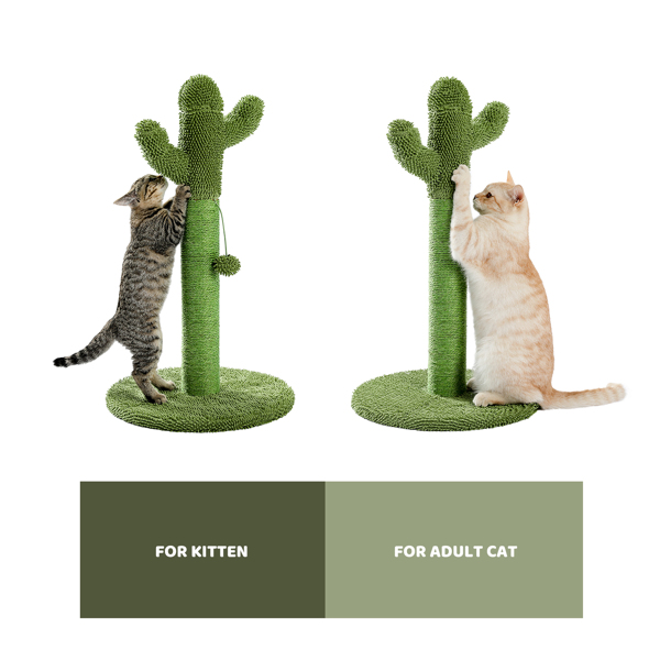 绿色仙人掌猫抓柱带有猫互动玩具毛绒吊球，适合小型猫玩耍锻炼-3
