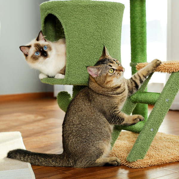 仙人掌系列猫台带有1个舒适的猫窝和顶部躺窝，以及剑麻猫抓柱，吊球和梯子，适合中小型猫-8